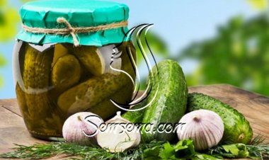 طريقة عمل مخلل الخيار الحار