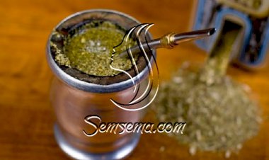 طريقة عمل مشروب المته السوري