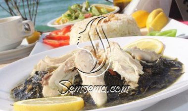 طريقة عمل الملوخية الخضراء المجمدة