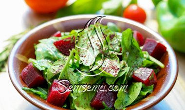 طريقة عمل سلطة الشمندر والجرجير