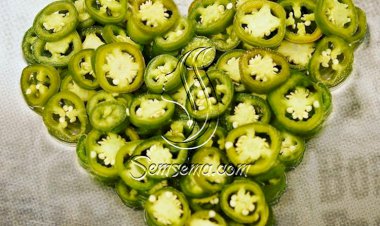 طريقة تحضير مخلل الهلابينو