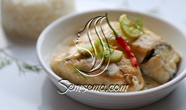 فيليه السمك بصلصة الكريمة الخفيفة والشبت للرجيم