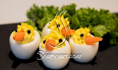 صيصان البيض