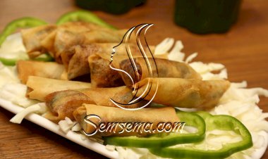 سبرنغ رول الخضار بالفيديو