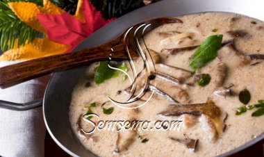 ستروغونوف الفطر للدايت