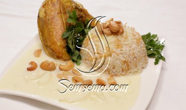 الشاكرية بالفيديو