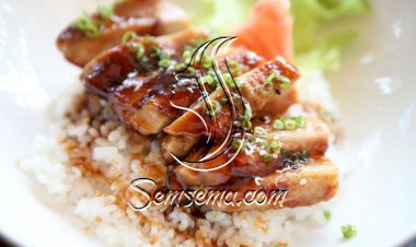 دجاج ترياكي