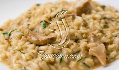 روزيتو بالكريمة والدجاج