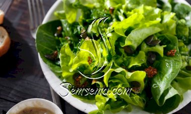 سلطة خضراء للرجيم