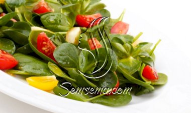 سلطة الجرجير لحرق الدهون