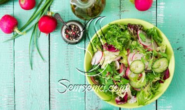 سلطة خضراء للرجيم