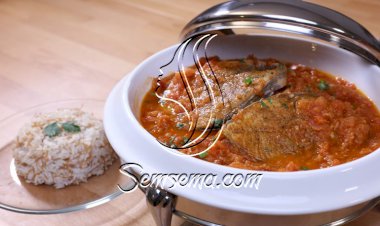 صالونة سمك بالفيديو