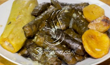 ورق عنب وكوسا بالزيت