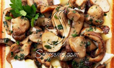 فطر محمر بالكزبرة