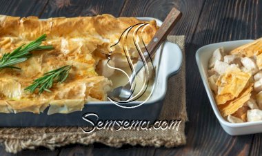 جلاش بالدجاج