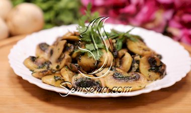 فطر مطفى بالكزبرة بالفيديو