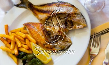 سمك دنيس مقلي