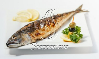 صينية السمك على الطريقة الإيطالية للرجيم