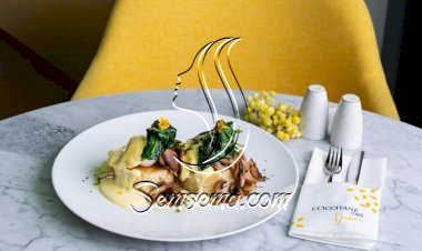 سبانخ بالفطر لمقبلات فاخرة