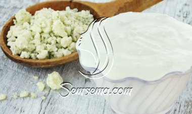 صلصة الجبنة الزرقاء لمقبلات فاخرة