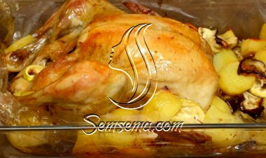 دجاج بالكيس