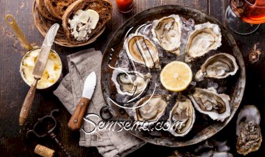 محار بالخل لمقبلات فاخرة