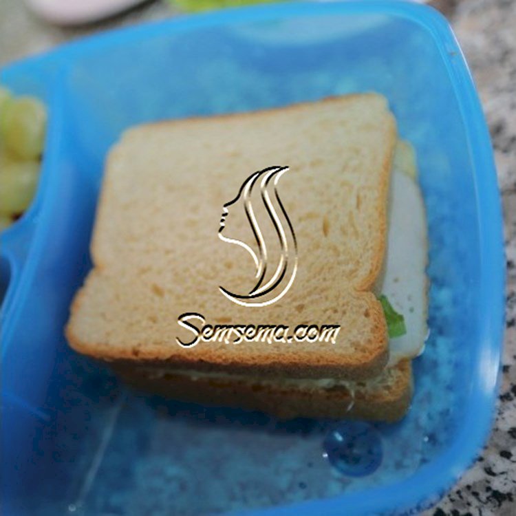 كلوب ساندويش وجبة مدرسية شهية